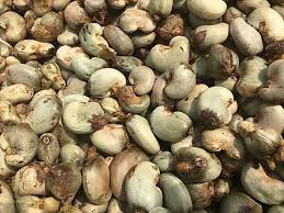 Raw Cashew Nuts